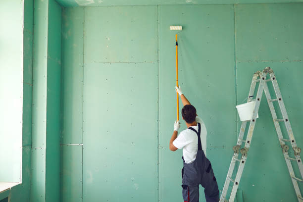 Best Emergency Mold Remediation  in Alorton, IL