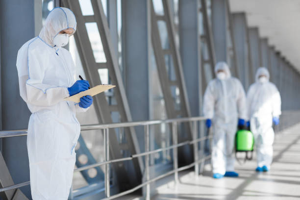 Best Post-Construction Mold Inspection  in Alorton, IL