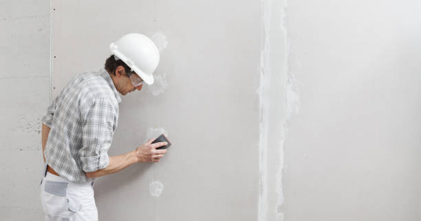 Best Water Damage & Mold Remediation  in Alorton, IL