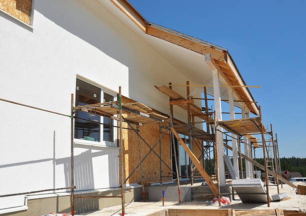 Best Asbestos and Lead Testing During Mold Inspection  in Alorton, IL