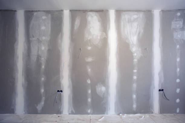 Best Mold Prevention Services  in Alorton, IL